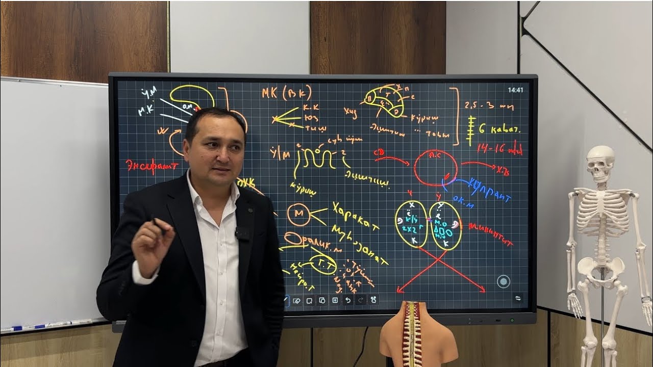 Nerv sistemasi 3-qism