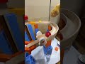 Marble Run and a Cat's Paw ☆ ASMR Video for Soothing and Laughter. Vol. 109