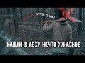 Нашли в лесу нечто УЖАСНОЕ | Журналистское расследование