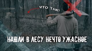 Нашли в лесу нечто УЖАСНОЕ | Журналистское расследование