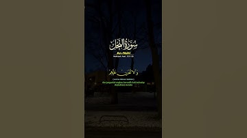 آيات من سورة النحل #تلاوة_خاشعة #اكسبلور #رمضان_كريم #القران_الكريم #quran #لايك #المصحف