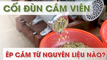 Cối đùn cám viên có thể ép được cám từ những nguyên liệu nào? Vận hành cối đùn 22