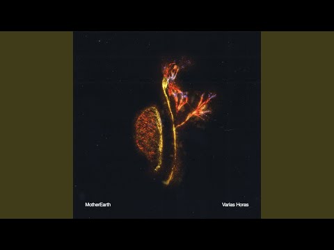 MotherEarth - Varias Horas