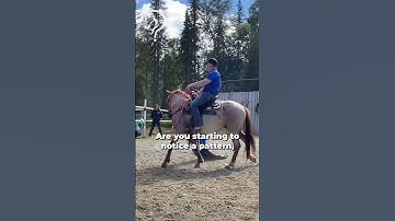 Working With A Client’s EMM Mustang! Part 10! | The Horse Guru - Michael Gascon