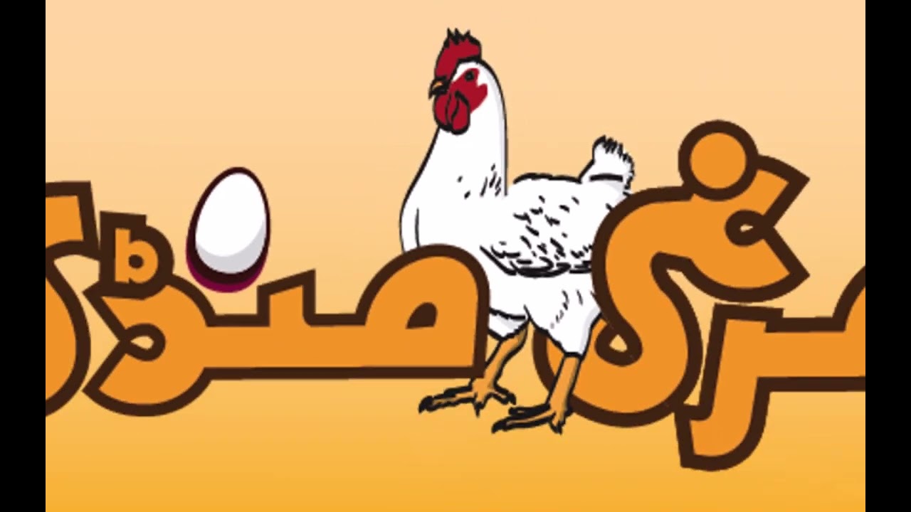 Egg Rate Today | Today Egg Market Position | Poultry News