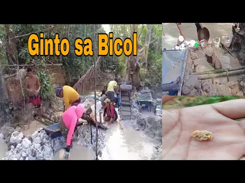 Video: Kung Paano Ang Minahan Ng Ginto Sa Mga Mina