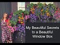 My Beautiful Secrets to a Beautiful Window Box | Container Gardening