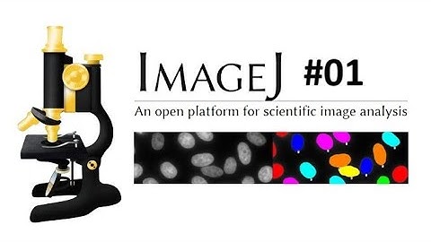 ImageJ Tutorial 01 - Download and Install ImageJ on Windows 11