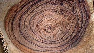 GL lô cẩm chỉ krôngpa đặc tịt 51kg tiện xẻ đóng đồ đều víp ạ bác nào vào vc lh 0338918991 thương GQ