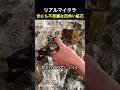 世にも不思議な四角い鉱石💎リアルマイクラ
