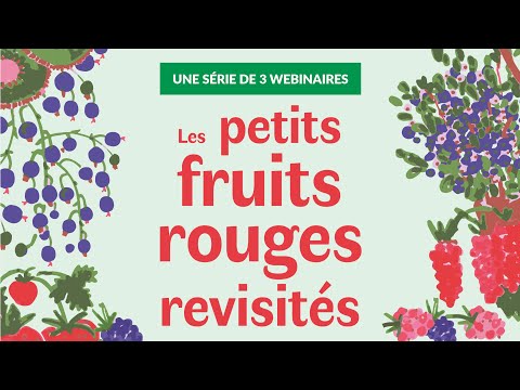 Vidéo: Les cerises de plage sont-elles comestibles ? Découvrez les utilisations et les idées des cerises de plage