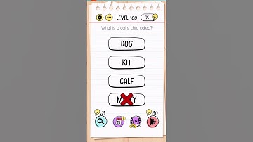 Brain Test Tricky Puzzles Level 100 Answer | What is a cat