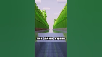 Myth!! Does sugar cane grow faster on sand? ⏳🌱📈