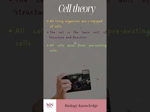 Video: Mis on 3 raku teooria?