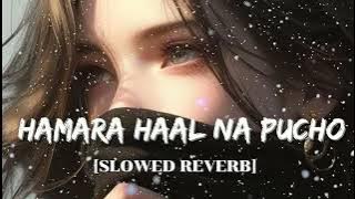 hamara haal na pucho slowed reverb female version Mind 🥰 relax songs in // Slow motion hindi  //  