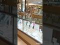 Mall vlog!!! #viral #vlog #haul