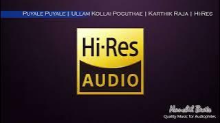 Puyale Puyale | Ullam Kollai Poguthae | Karthik Raja | Udit Narayan | Hi-Res Audio
