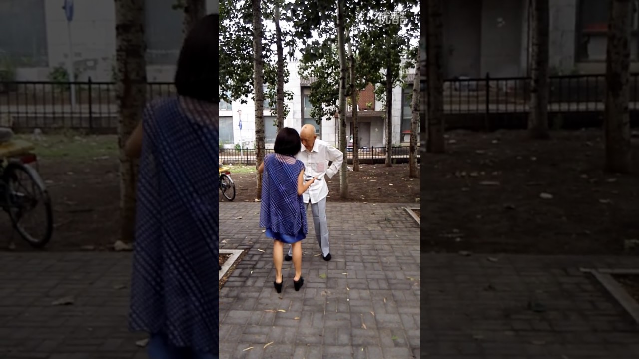 Grandmaster Zhang Baoyang， XingYi Nei Gong 16 forms