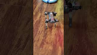 XGO-MINI Robot- is a desktop-sized AI quadruped.  #robot #xgo #xgomini #xgominirobot