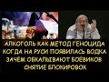 Алкоголь как метод геноцида. Когда появилась водка. Зачем обкалывают боевиков. Н.Левашов