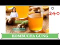 #240. KOMBUCHA GỪNG. MÓN QUÀ SỨC KHOẺ