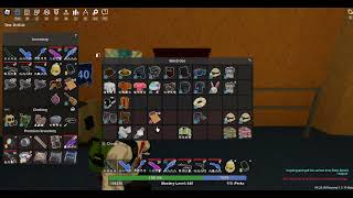 Do not place none clothing items in the wardrobe (PSA)