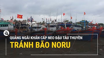 Quảng Ngãi khẩn cấp neo đậu tàu thuyền, tránh bão Noru