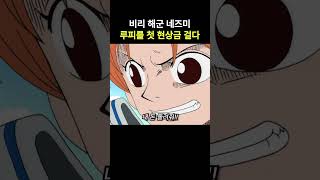 비리 해군 네즈미 루피를 첫 현상금 걸다