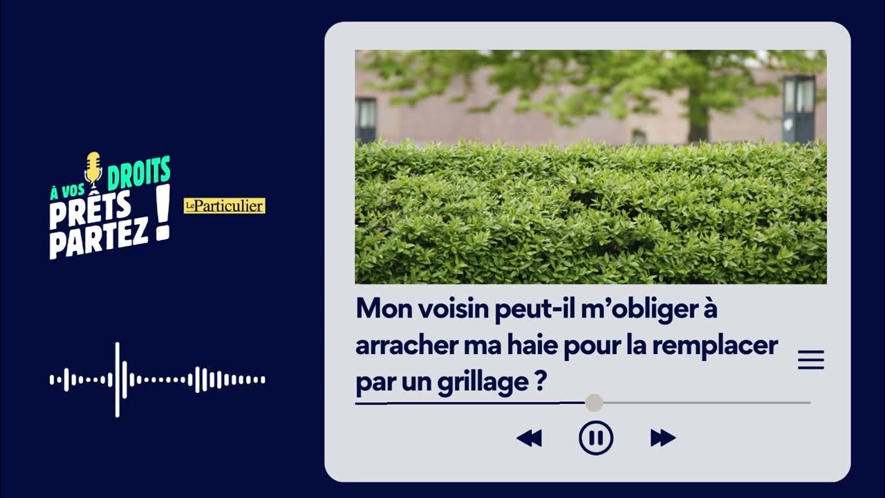 Mon voisin peut il m’obliger à arracher ma haie pour la remplacer par un grillage ? YouTube