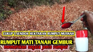 Rumput ludes tanah subur gembur busuknya rumput jadi kompos penyubur tanah