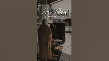 "تلاوة مباركة تضيء القلوب يوم الجمعة – ياسر الدوسري" 🤍