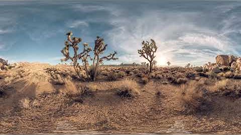 Joshua Tree 360