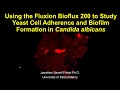 Using the fluxion bioflux 200 to study yeast cell adherence and biofilm  formation in c albicans