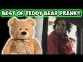 BEST OF TEDDY BEAR PRANK!!!