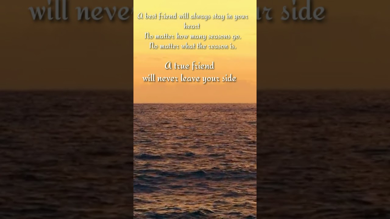 A best friend will [Life And Quotes]  