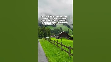 find calm link in bio no more racing thoughts 😌 for real