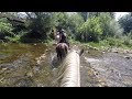 Mi Ruta a Caballo por Asturias