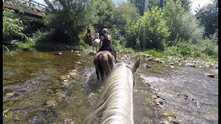 Mi Ruta a Caballo por Asturias