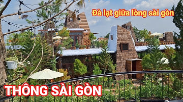 Chấn động ! Phát hiện quán đẹp mới toanh có view như đà lạt cafe THÔNG SÀI GÒN.