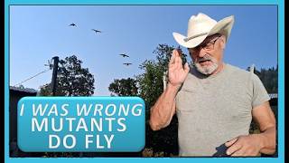 I WAS WRONG - MUTANTS DO FLY
