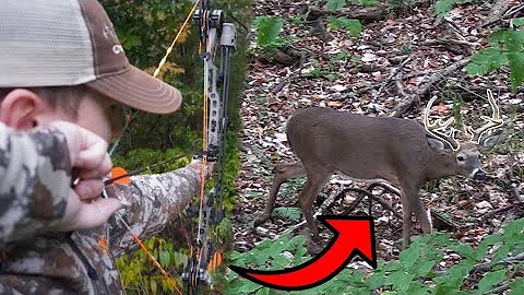 BIG BUCK AT 10 YARDS!