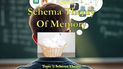 Ch 4 Memory 1.2 Schema Theory of Memory Video Tutorial