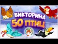 50 птиц - Большая викторина для детей. 🦜Угадываем птиц. 🦚