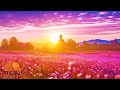 528 HZ Enchanted Morning Music For A Happy New Fresh Day💖😍