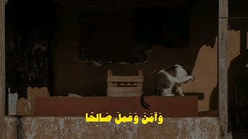 واني لغفار لمن تاب وآمن وعمل صالحاً ثم اهتدى ، قران كريم ، راحه نفسيه تلاوه هادئه ،  عبد الرحمن مسعد