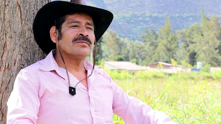 Rogelio Alvarado Dueas Mariposa de la Pradera