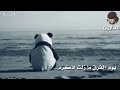 يوم الفراق ما زلت اذكره انزلو ع الوصف 