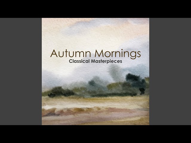 Vivaldi: Concerto For Violin, Strings And Harpsichord In G Minor, R. 325: 2. Largo