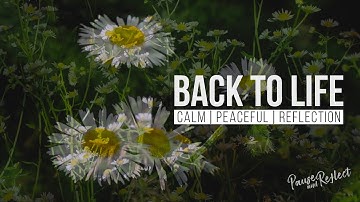 BACK TO LIFE I Original Footage - Calm I Peaceful I Reflection
