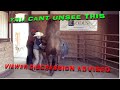 Palpating Mares, Stallion Semen Collection  Just another day on the ranch #horse #ranch #equine